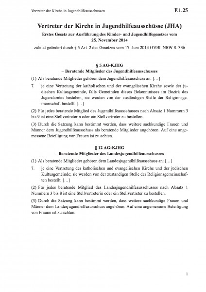 F.1.25 Vertreter der Kirche in Jugendhilfeausschüssen