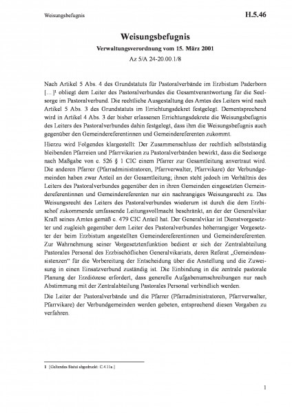 H.5.46 Weisungsbefugnis